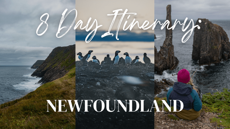 8-Day Newfoundland Road Trip&nbsp;Itinerary